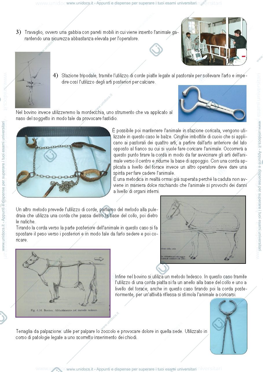 Anteprima pagina 3 — Semeiotica chirurgica