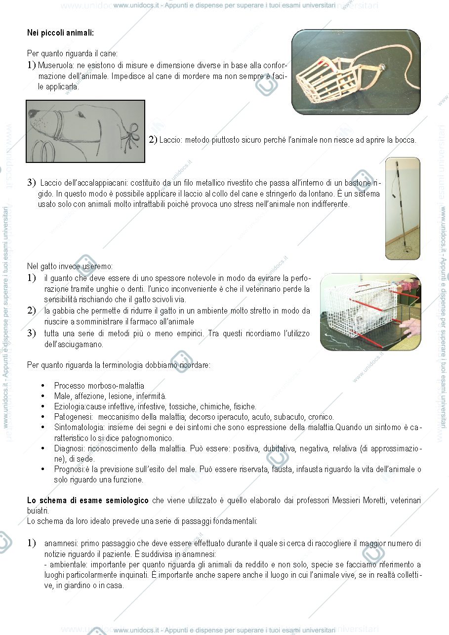 Anteprima pagina 4 — Semeiotica chirurgica