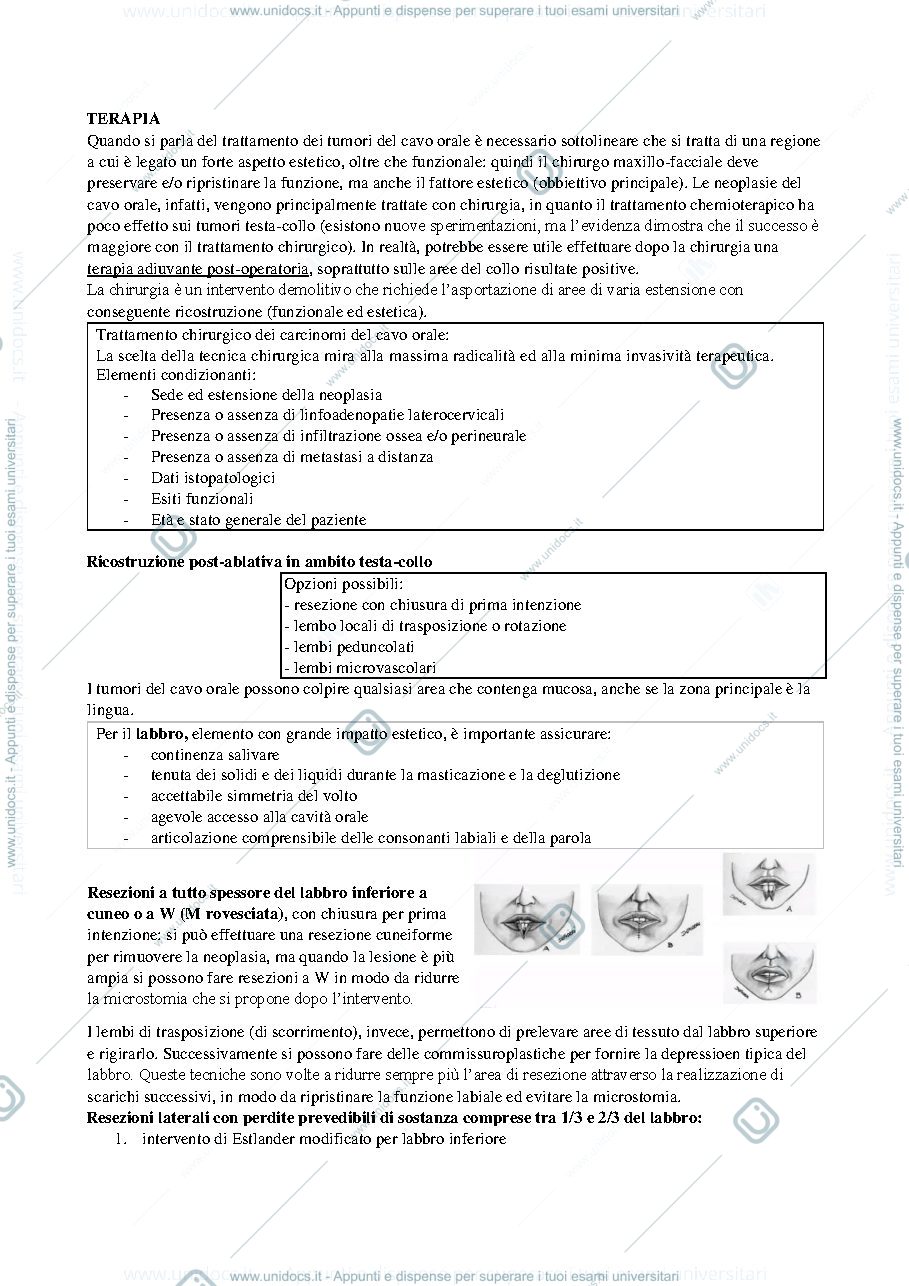 Anteprima pagina 1 — Stazioni linfonodali