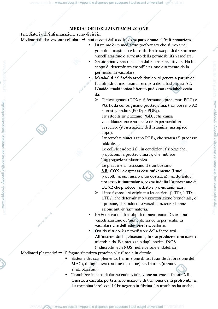 Anteprima pagina 1 — Patologia