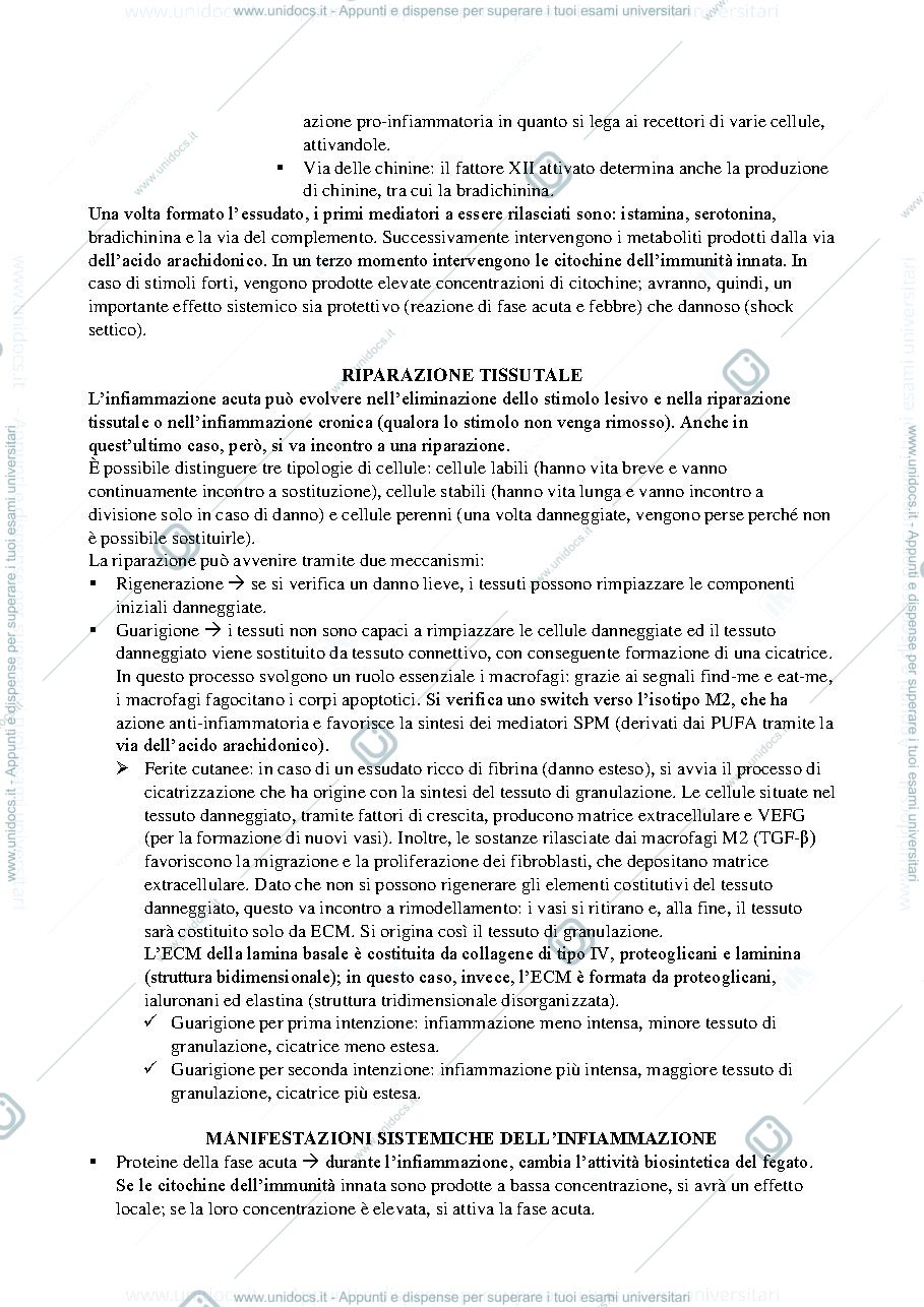 Anteprima pagina 2 — Patologia