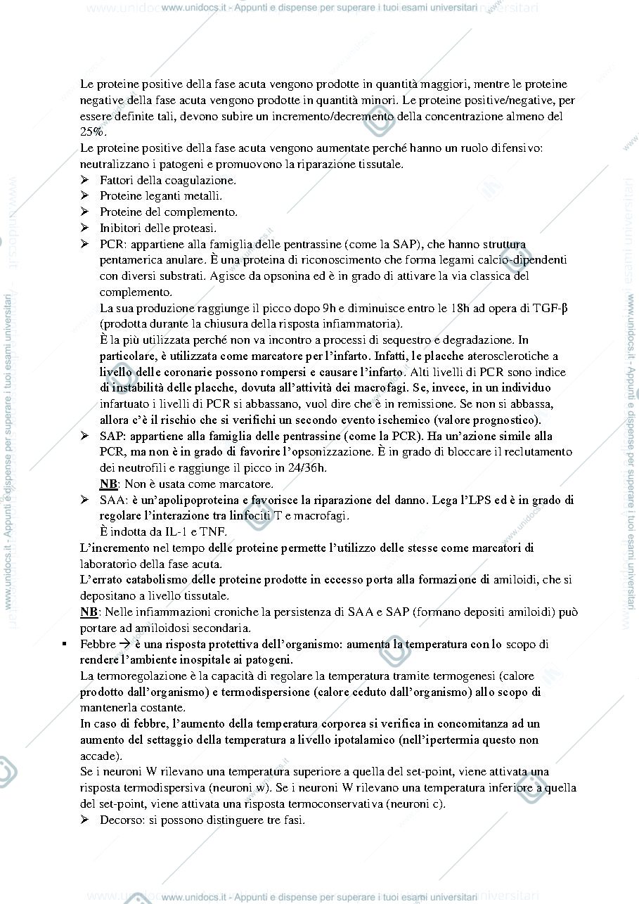Anteprima pagina 3 — Patologia