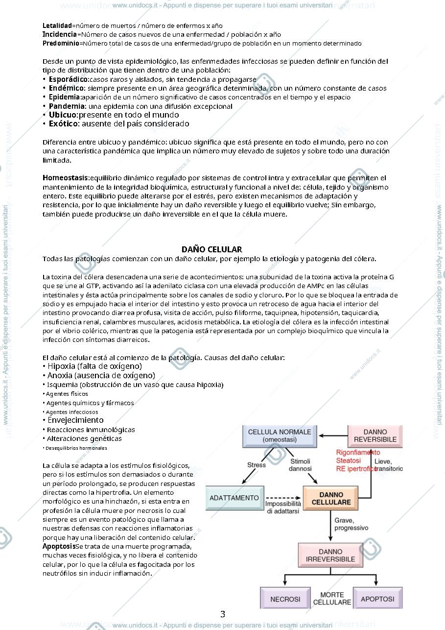 Anteprima pagina 3 — Patología generale