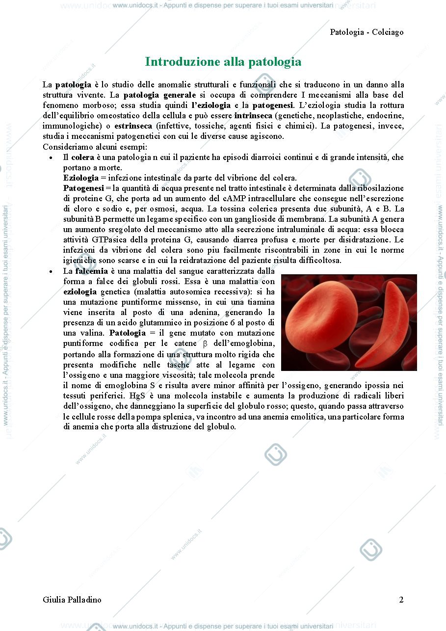Anteprima pagina 2 — Patologia Colciago 