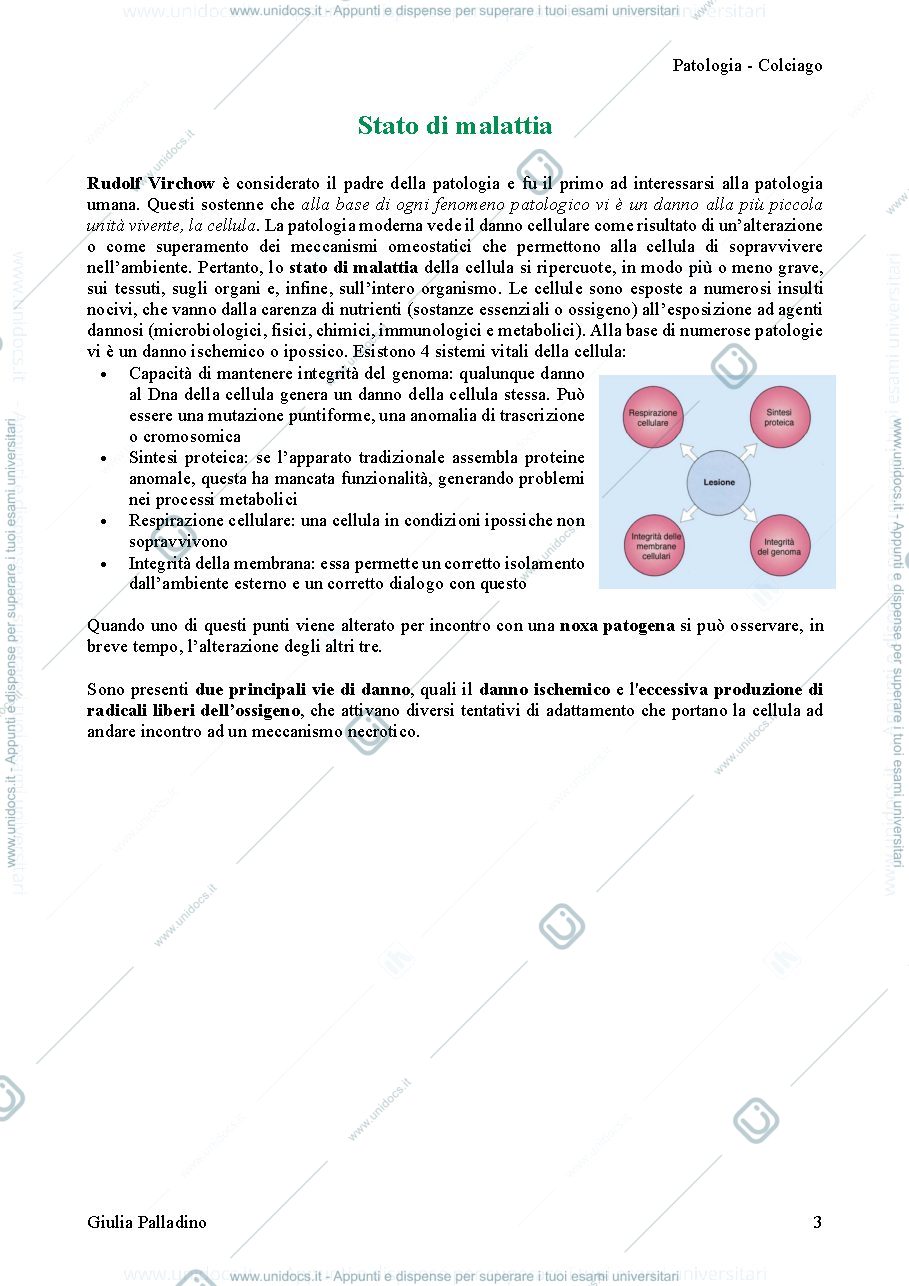 Anteprima pagina 3 — Patologia Colciago 