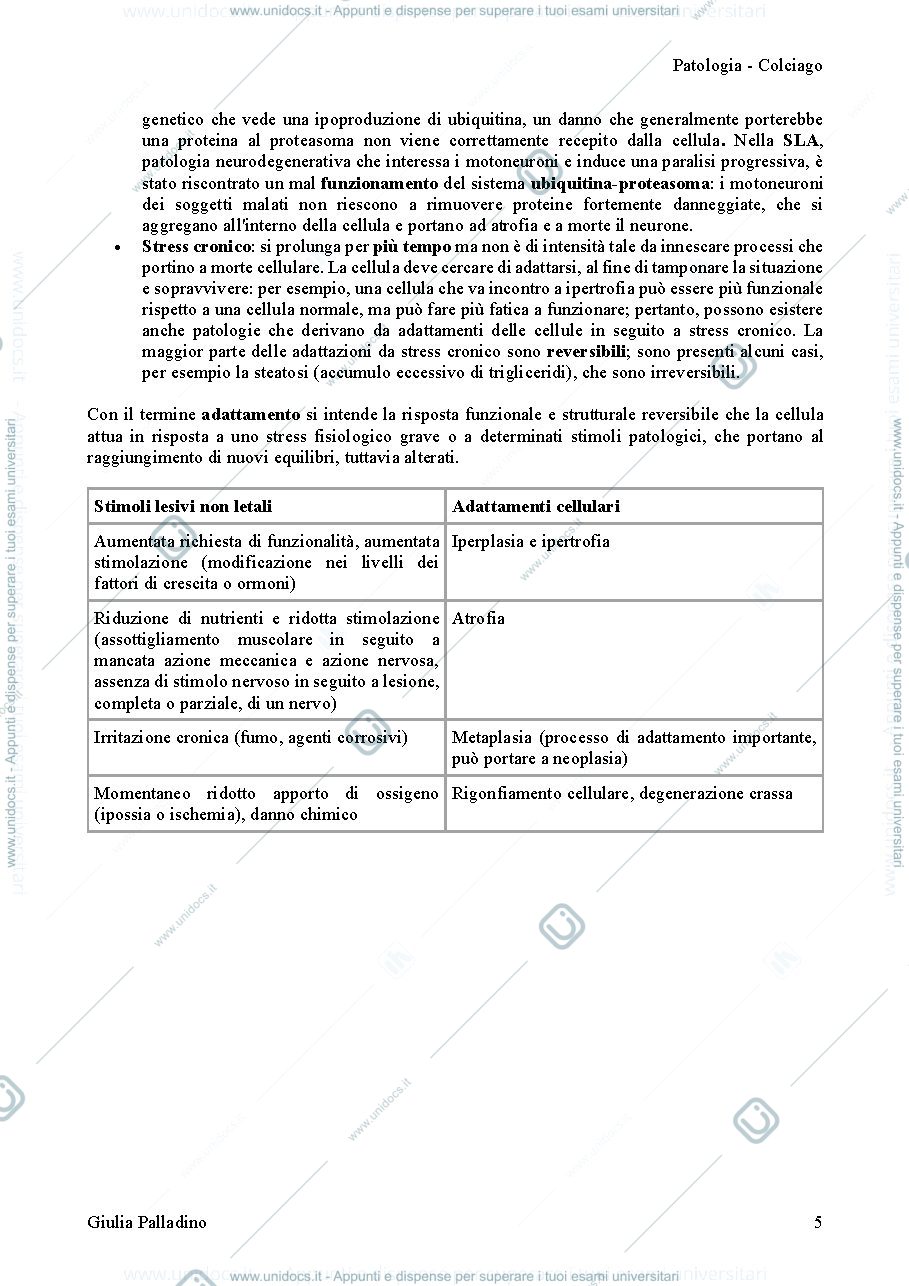 Anteprima pagina 5 — Patologia Colciago 