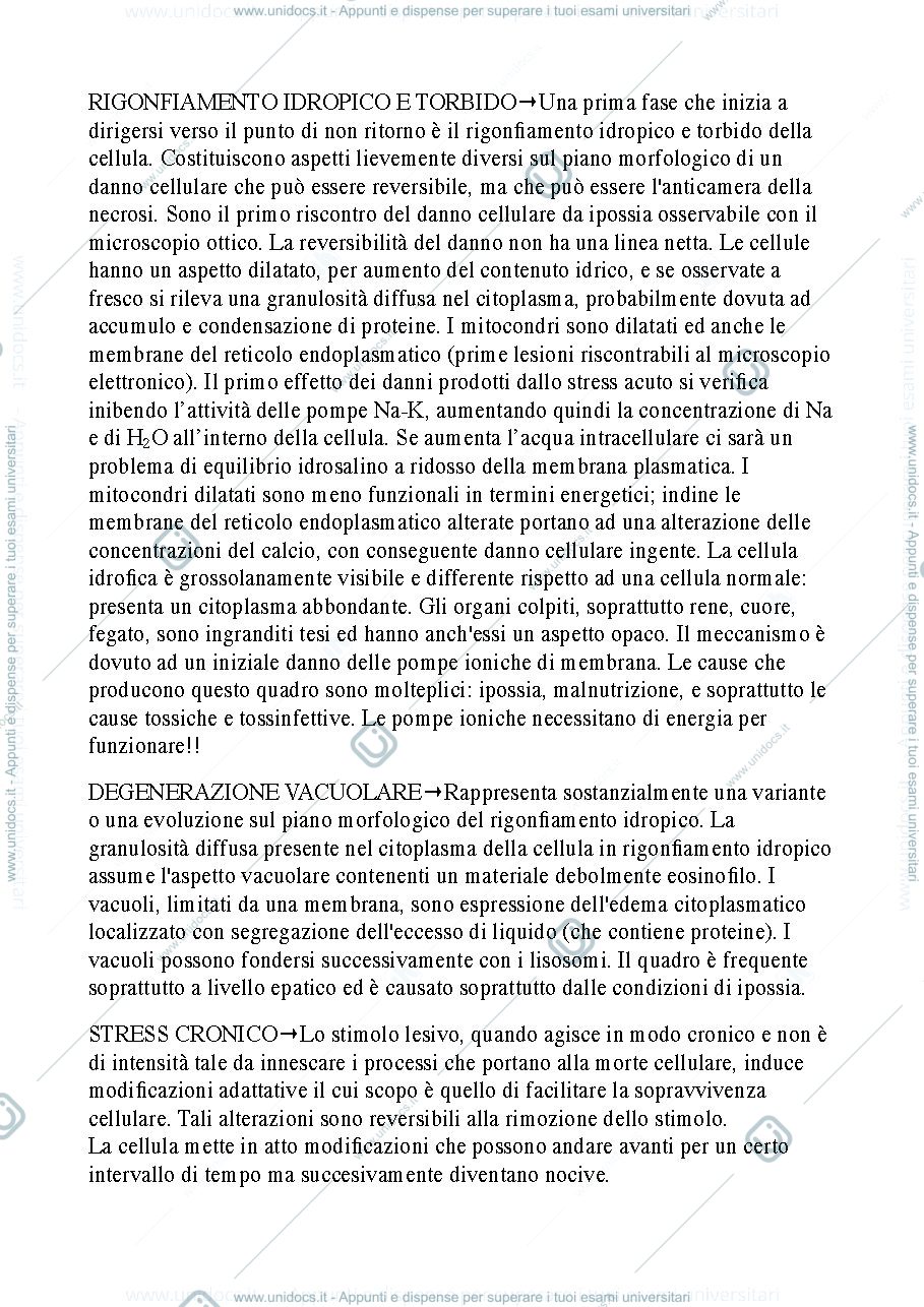 Anteprima pagina 1 — Alcuni esempi di problemi