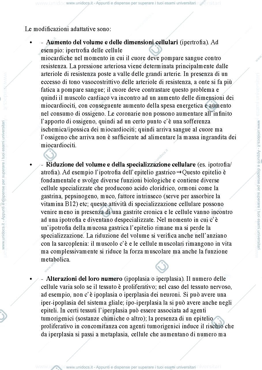 Anteprima pagina 2 — Alcuni esempi di problemi