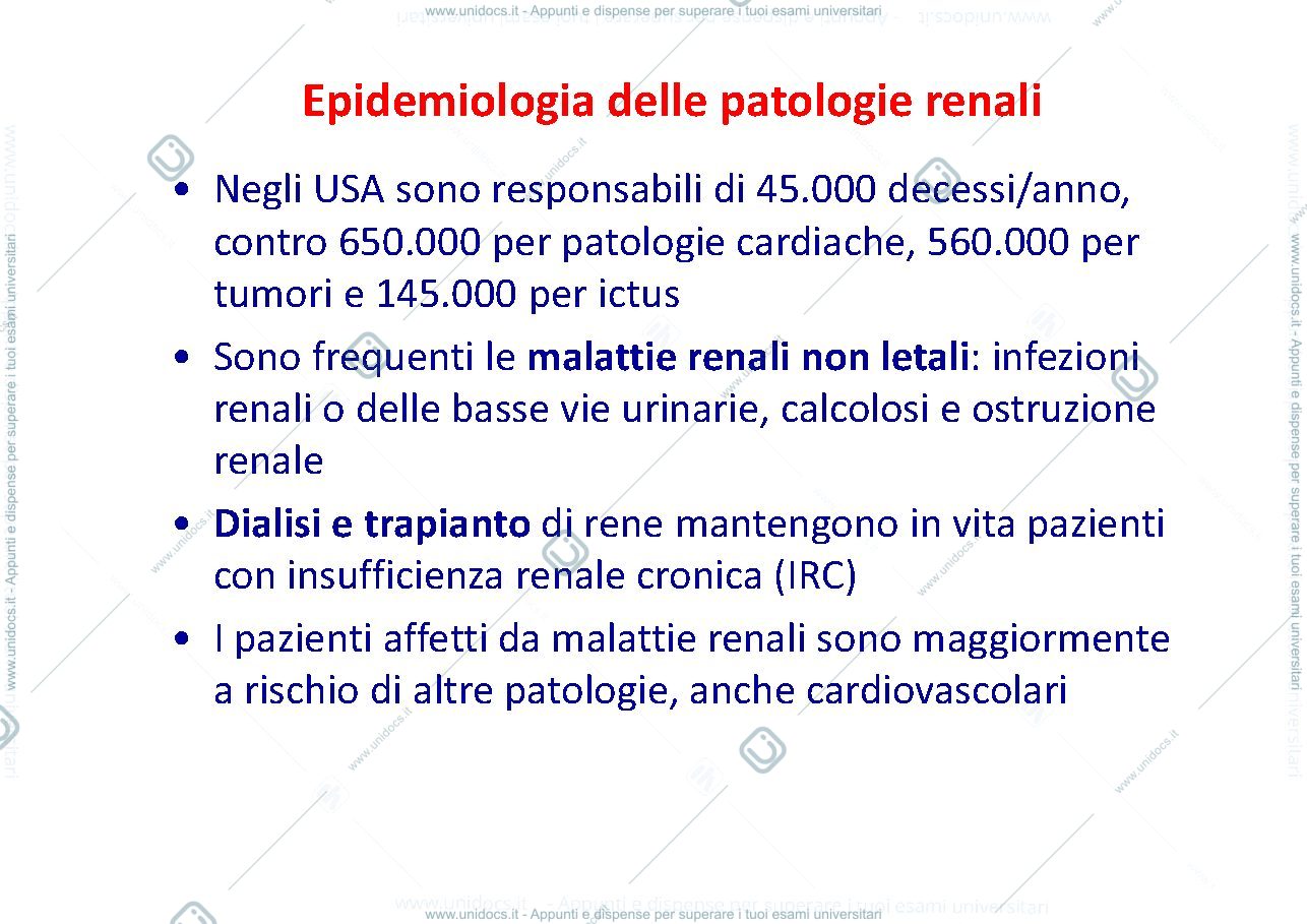 Anteprima pagina 1 — fisiopatologia renale 