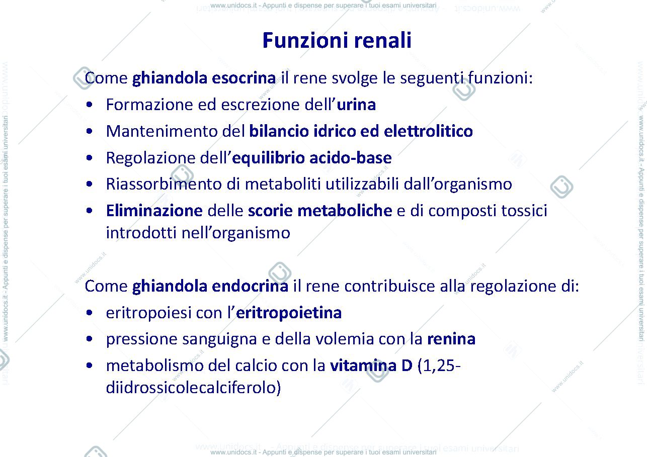 Anteprima pagina 2 — fisiopatologia renale 