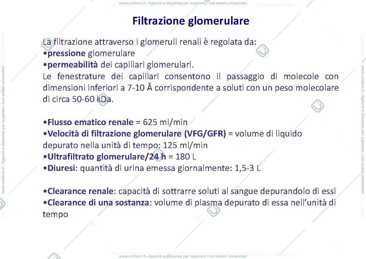 Anteprima pagina 3 — fisiopatologia renale 