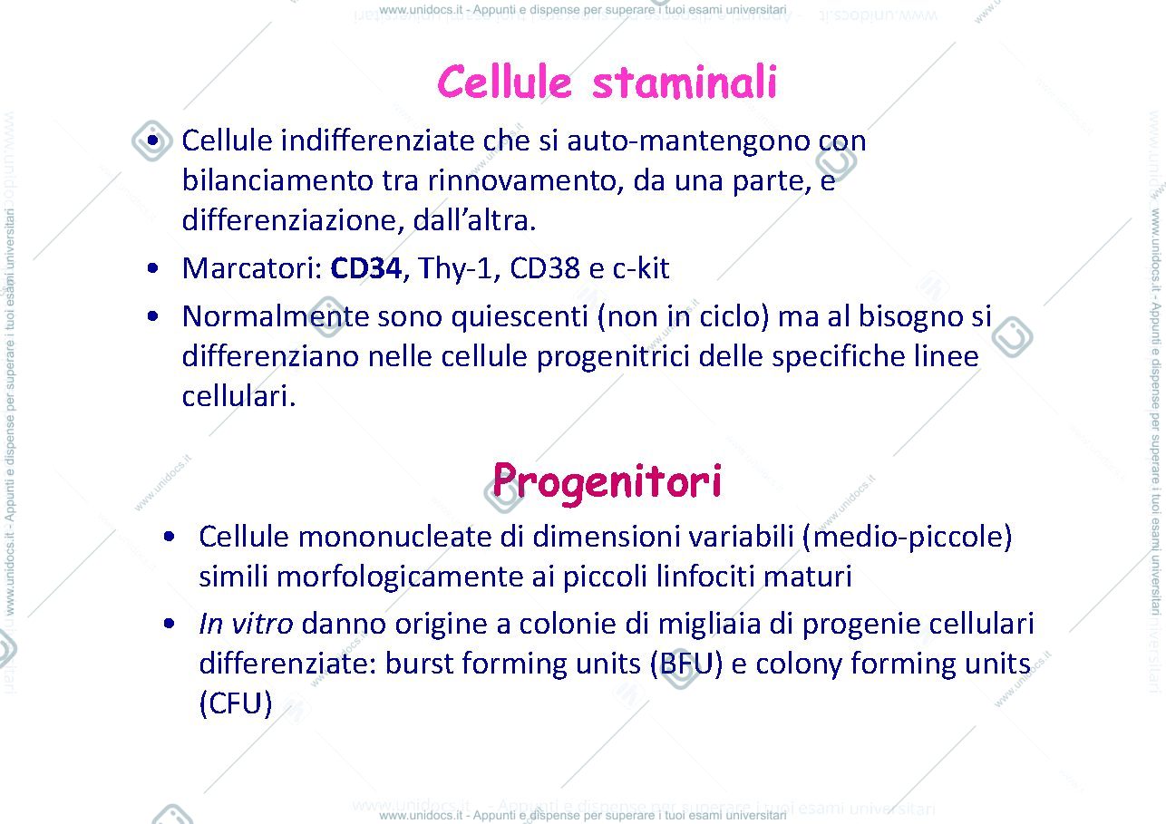 Anteprima pagina 2 — anemie 