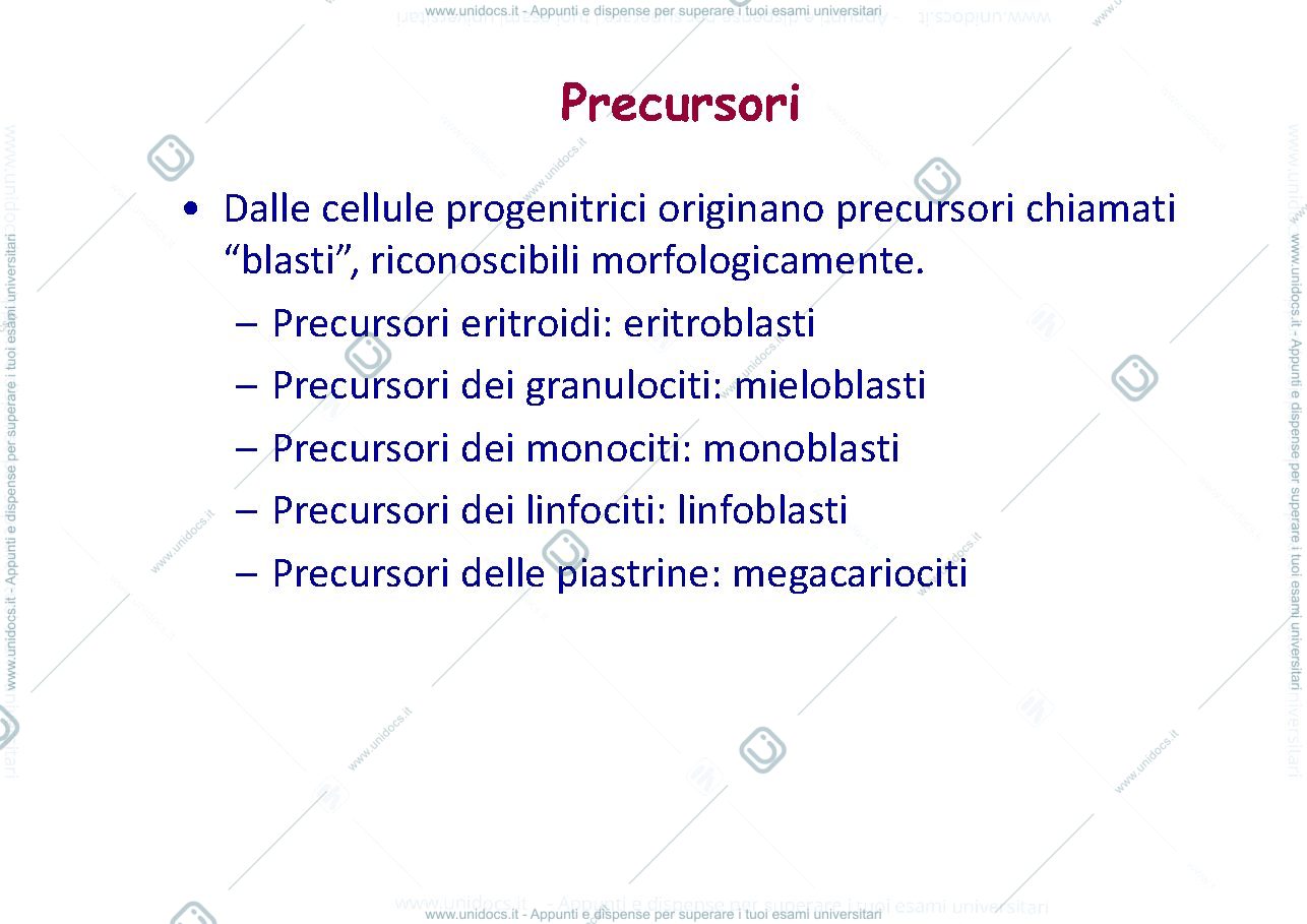 Anteprima pagina 3 — anemie 