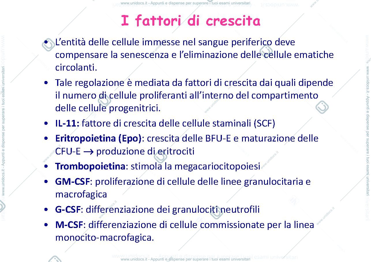 Anteprima pagina 4 — anemie 