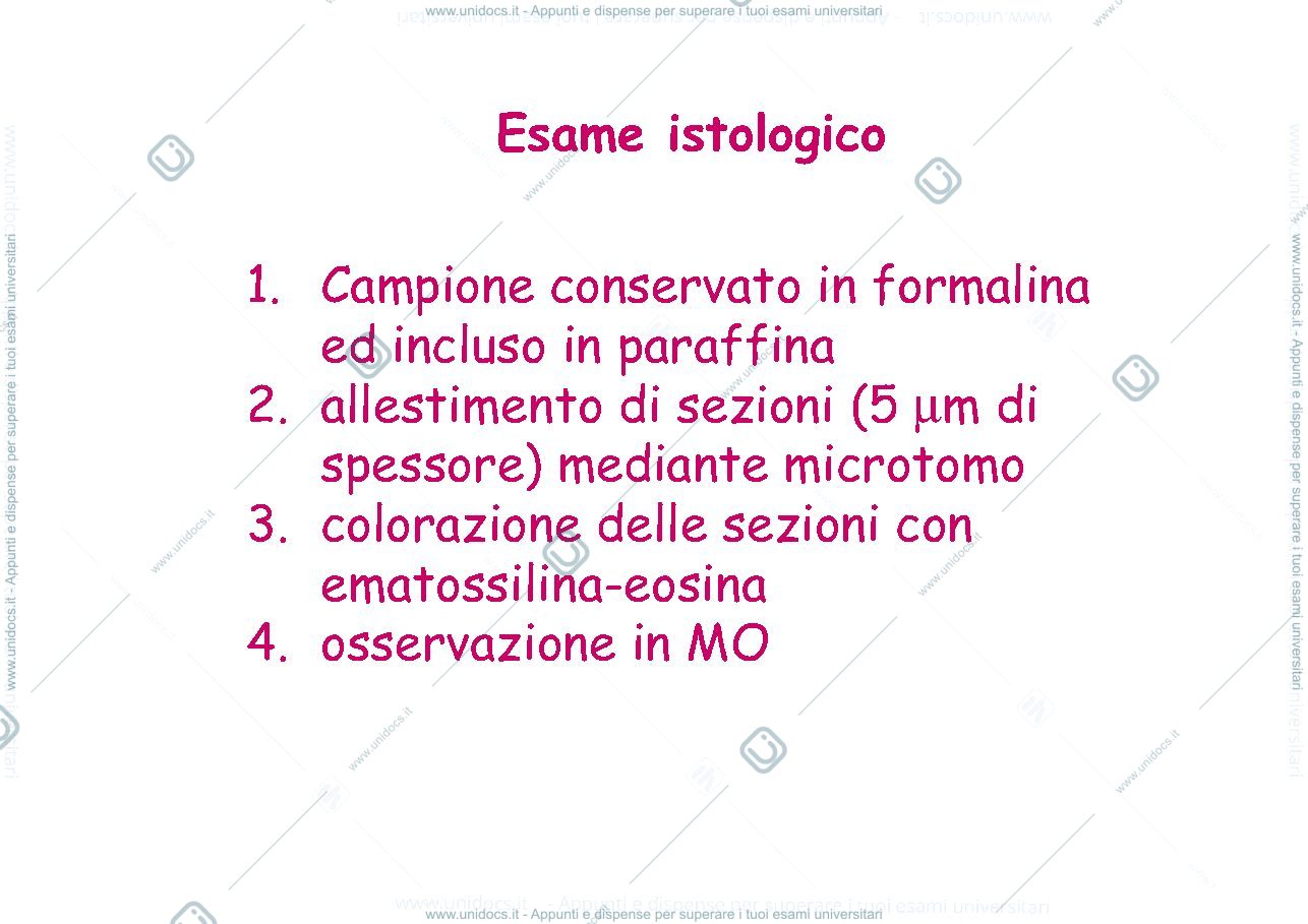 Anteprima pagina 3 — diagnosi dei tumori