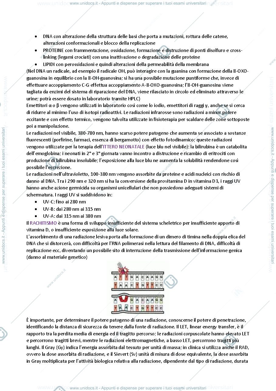 Anteprima pagina 2 — patologia e immunologia