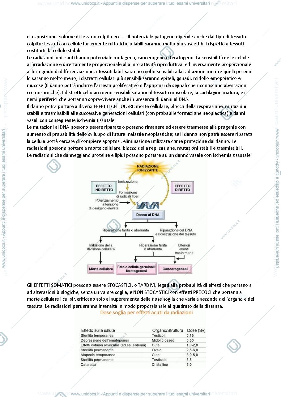 Anteprima pagina 3 — patologia e immunologia