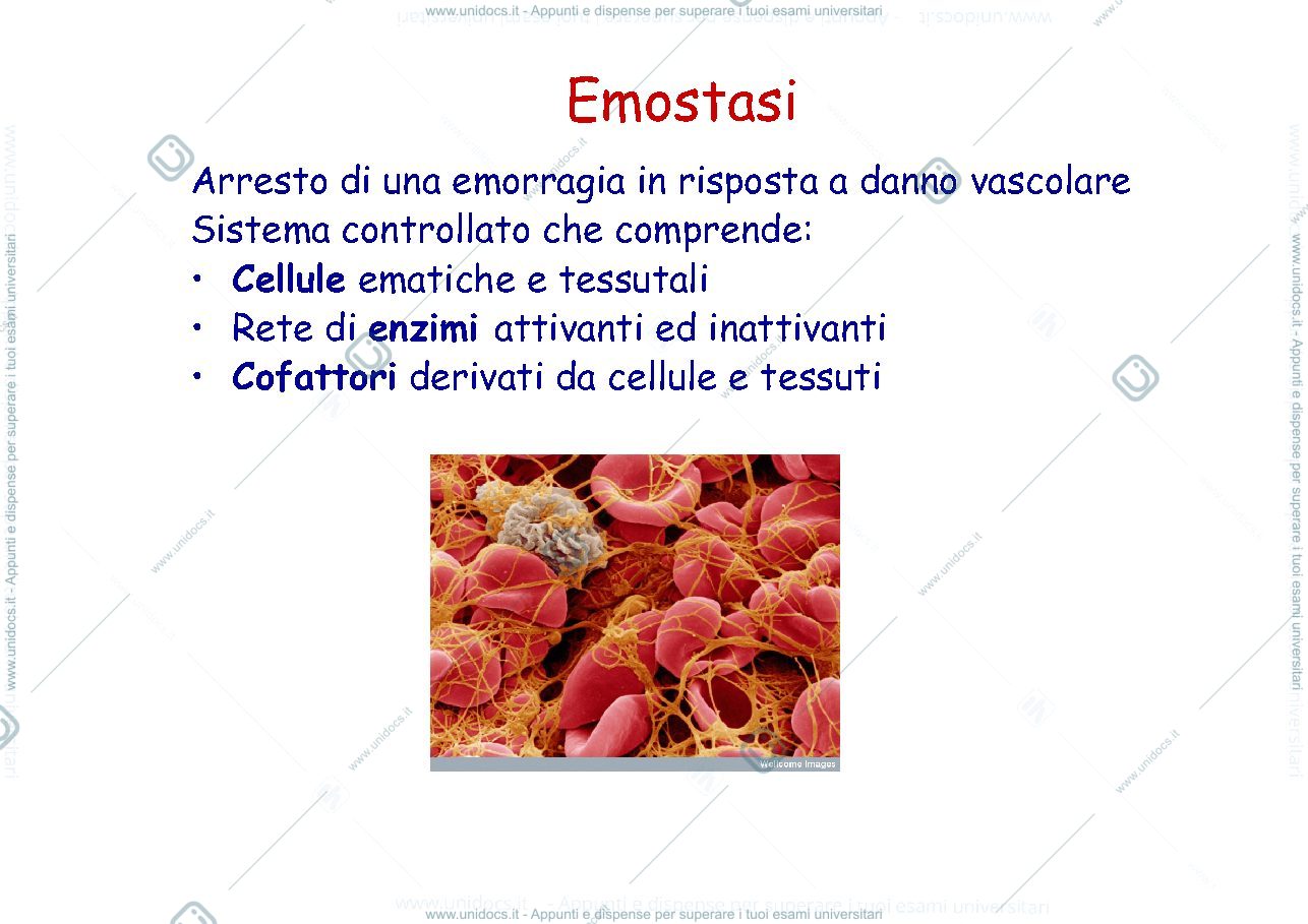Anteprima pagina 1 — emostasi 