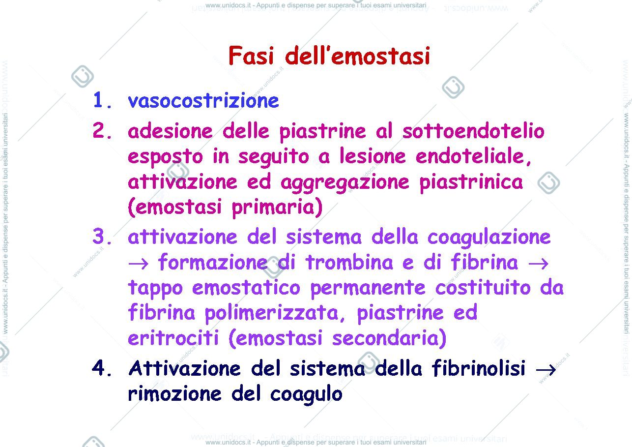 Anteprima pagina 3 — emostasi 