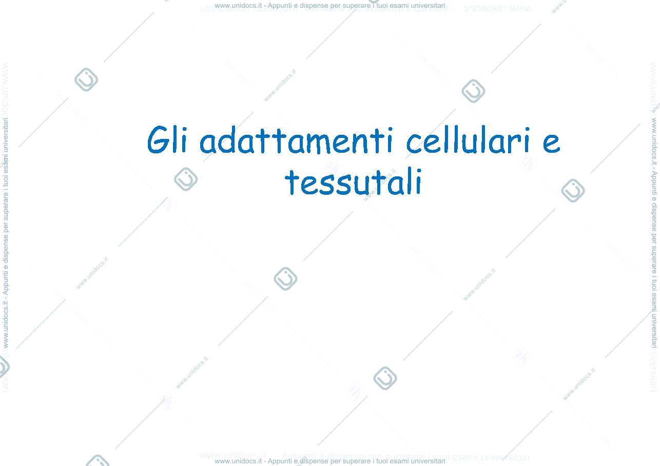 Anteprima pagina 1 — adattamenti medici 