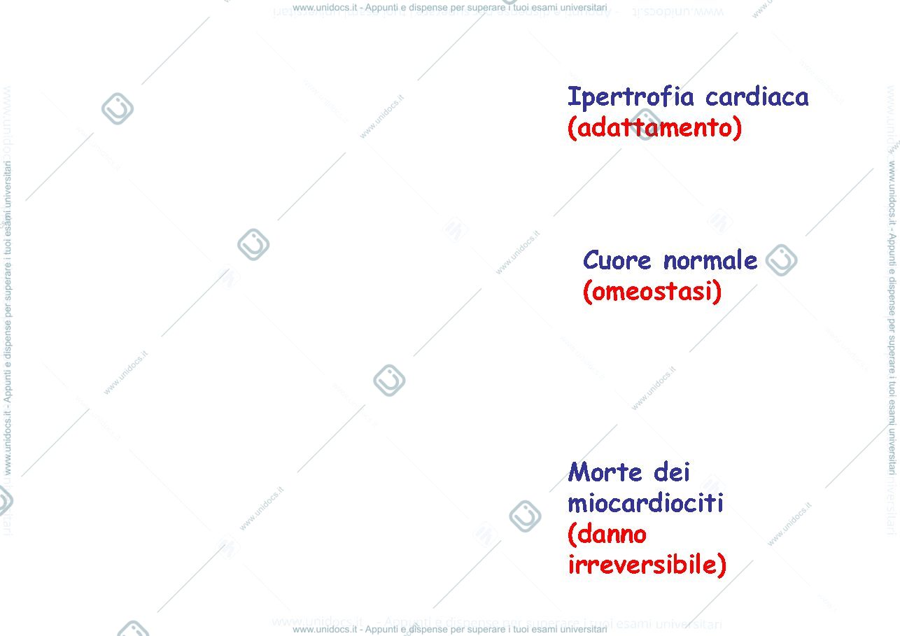 Anteprima pagina 2 — adattamenti medici 