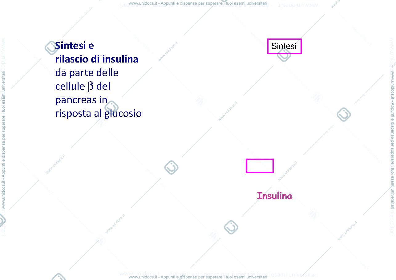Anteprima pagina 3 — diabete 
