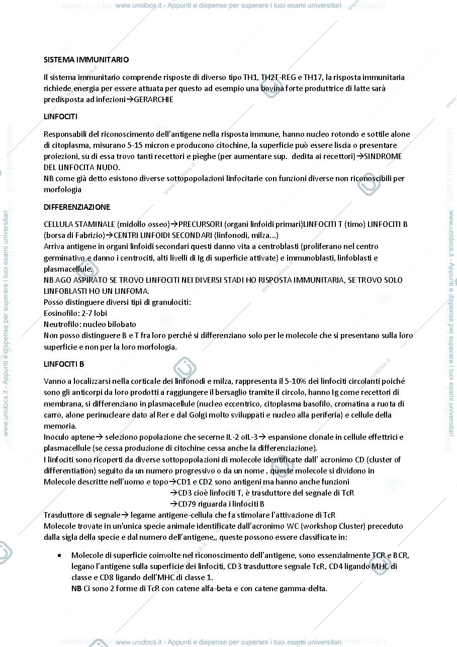 Anteprima pagina 1 — appunti sistema immunitario