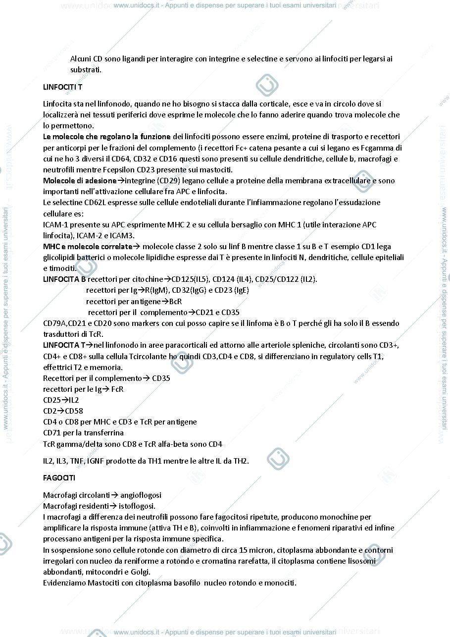 Anteprima pagina 2 — appunti sistema immunitario