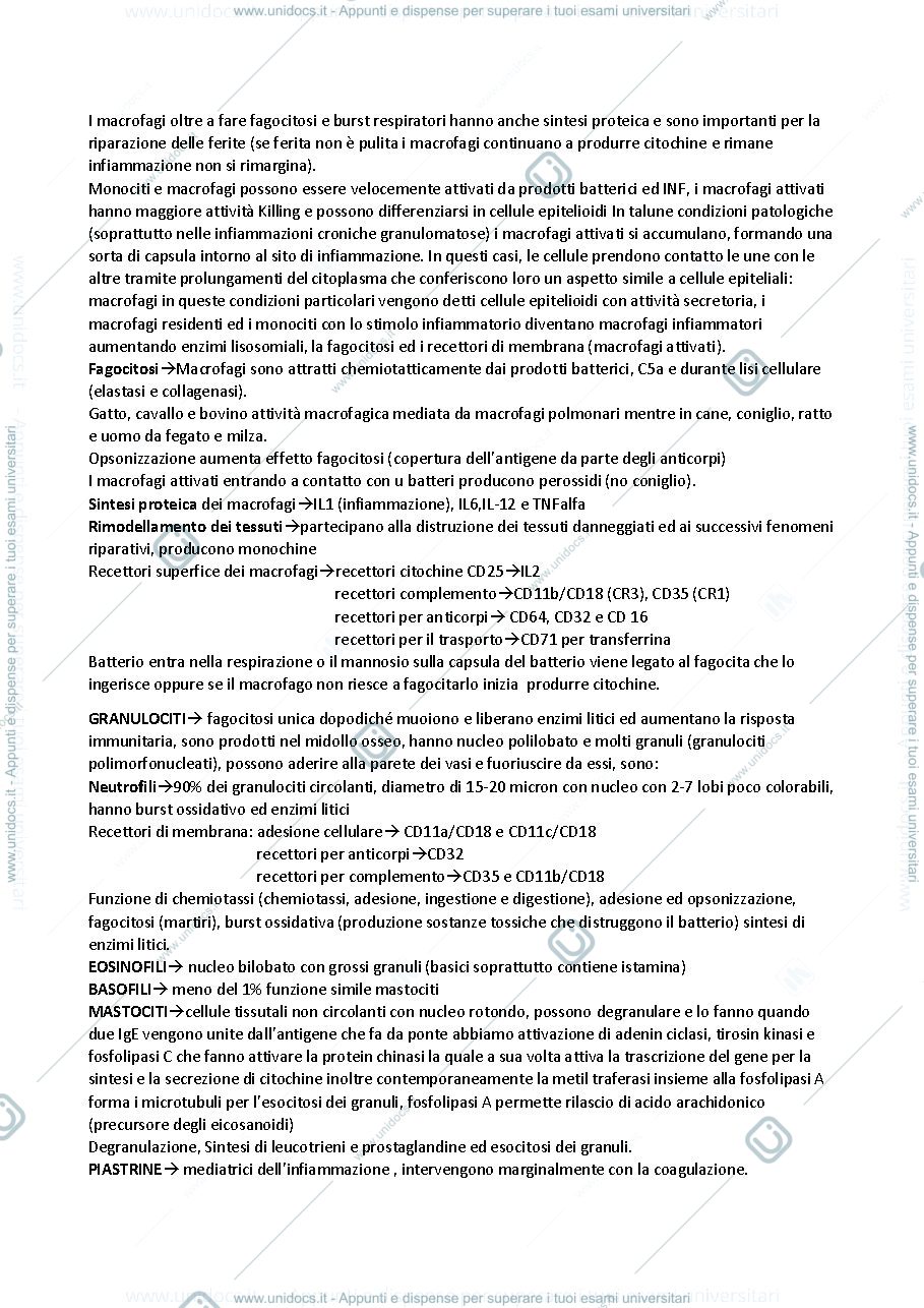 Anteprima pagina 3 — appunti sistema immunitario