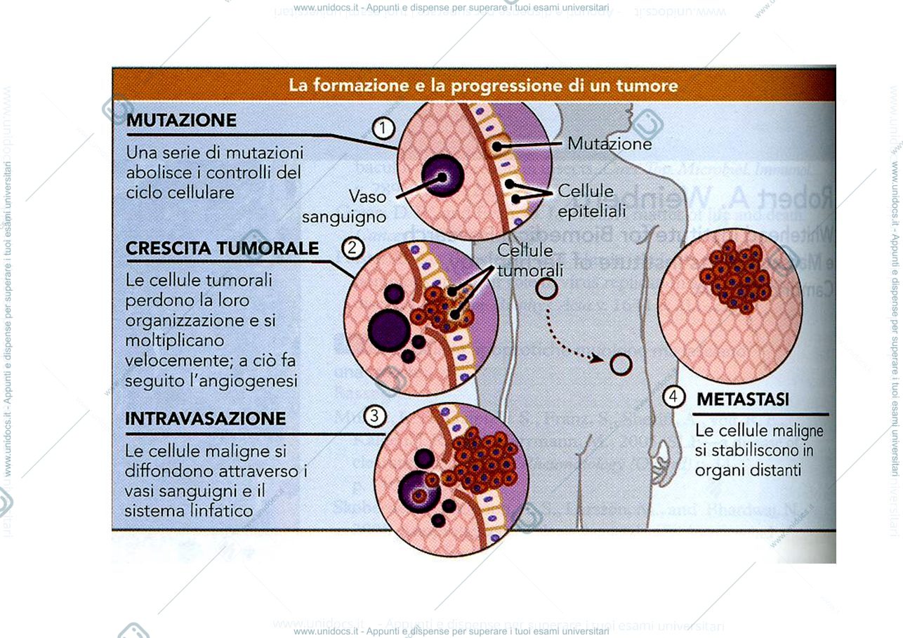 Anteprima pagina 1 — effetti dei tumori