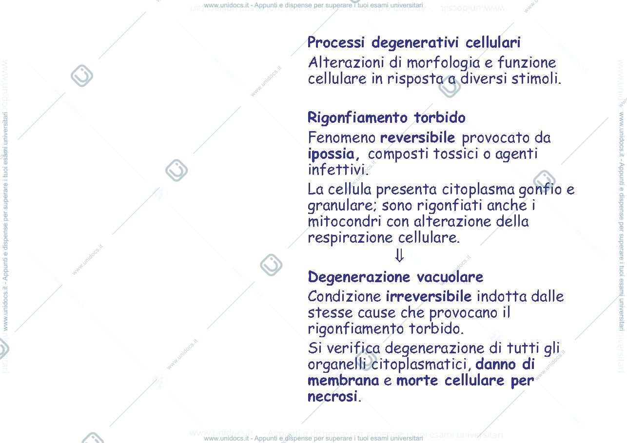 Anteprima pagina 3 — ischemia 