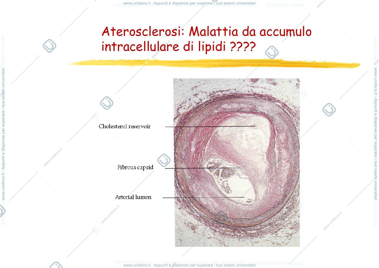 Anteprima pagina 1 — Aterosclerosi 