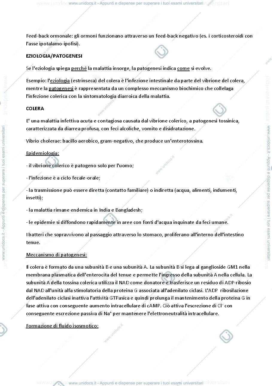 Anteprima pagina 2 — PATOLOGIA GENERALE E FISIOPATOLOGIA