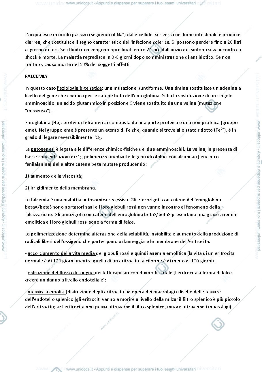 Anteprima pagina 3 — PATOLOGIA GENERALE E FISIOPATOLOGIA
