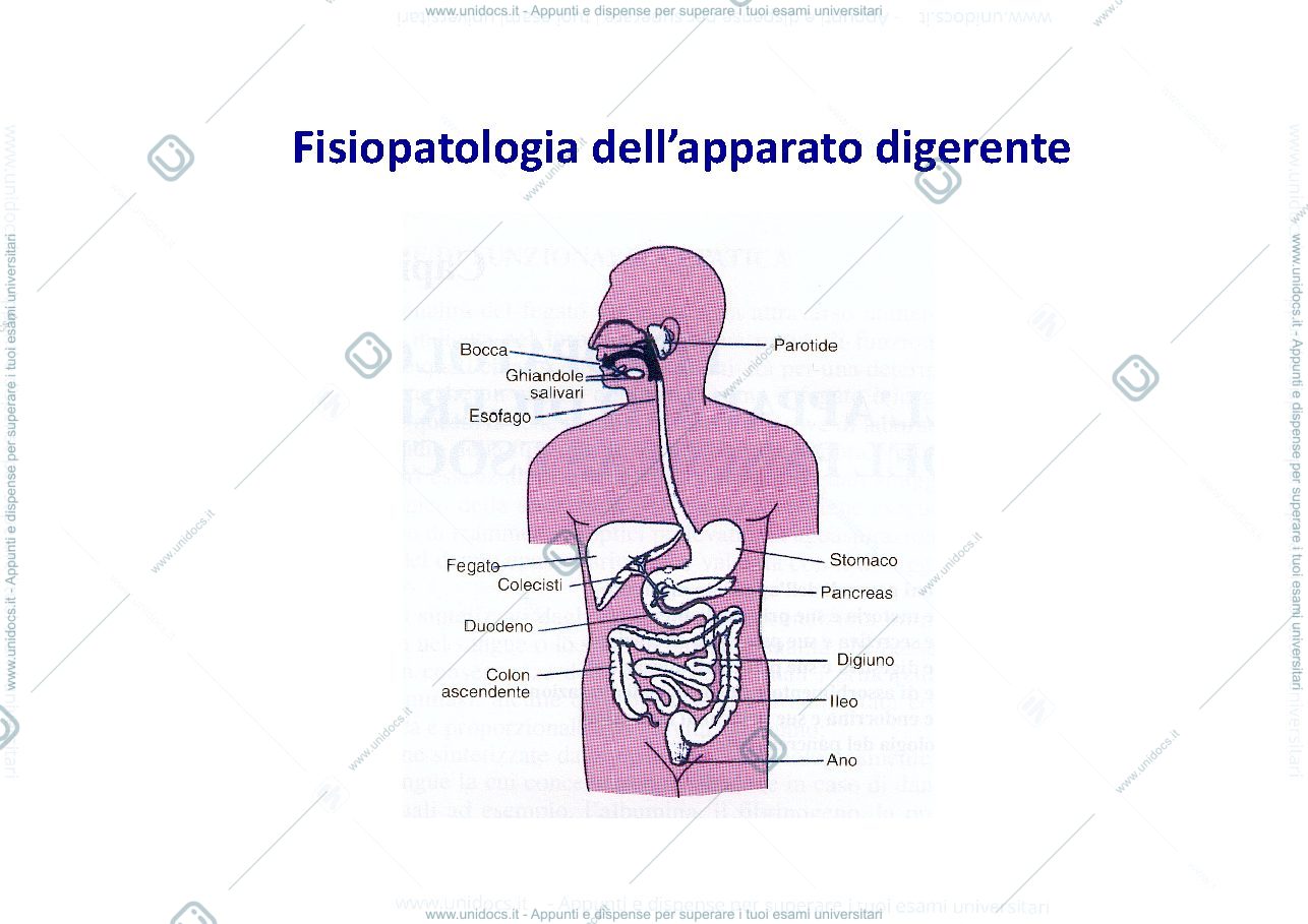 Anteprima pagina 1 — fisiopatologia apparato digerente 
