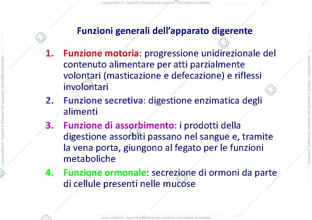 Anteprima pagina 2 — fisiopatologia apparato digerente 