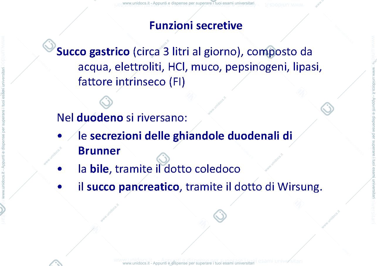 Anteprima pagina 3 — fisiopatologia apparato digerente 