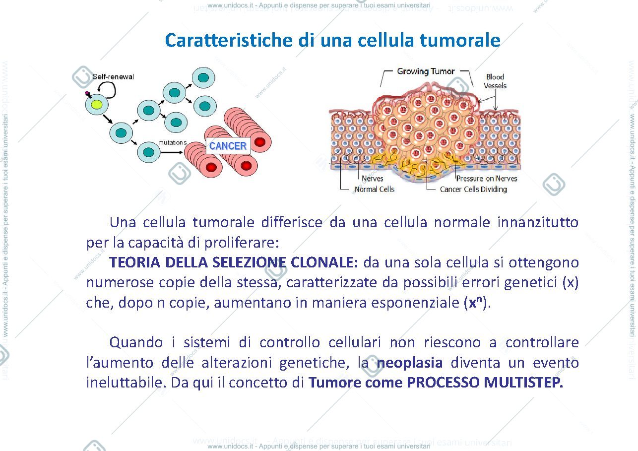 Anteprima pagina 1 — metabolismo cellula neoplastica