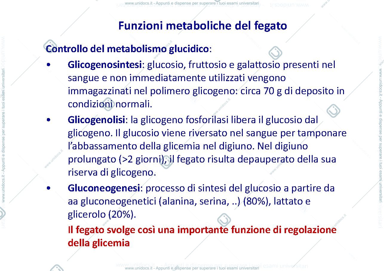 Anteprima pagina 3 — gotta 