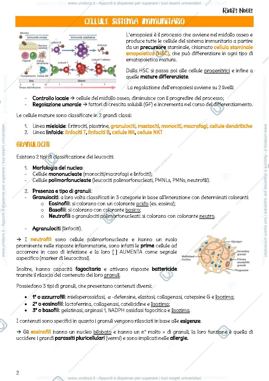 Anteprima pagina 3 — immunologia