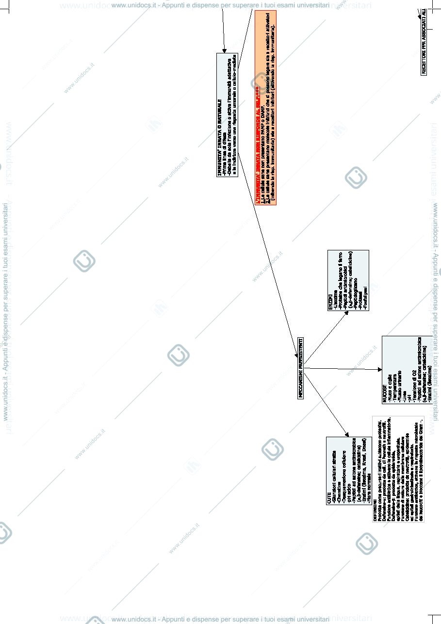Anteprima pagina 1 — patologia