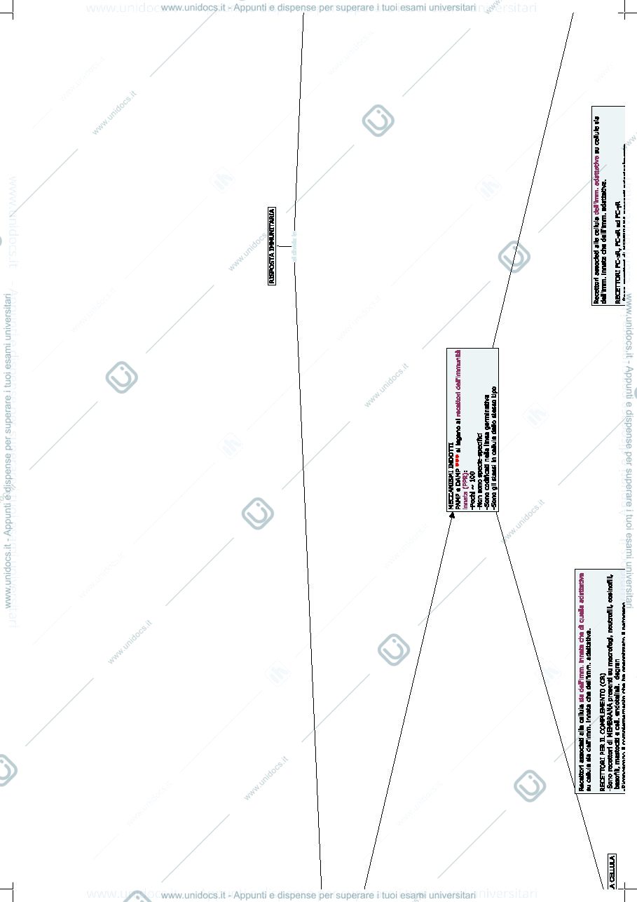 Anteprima pagina 2 — patologia