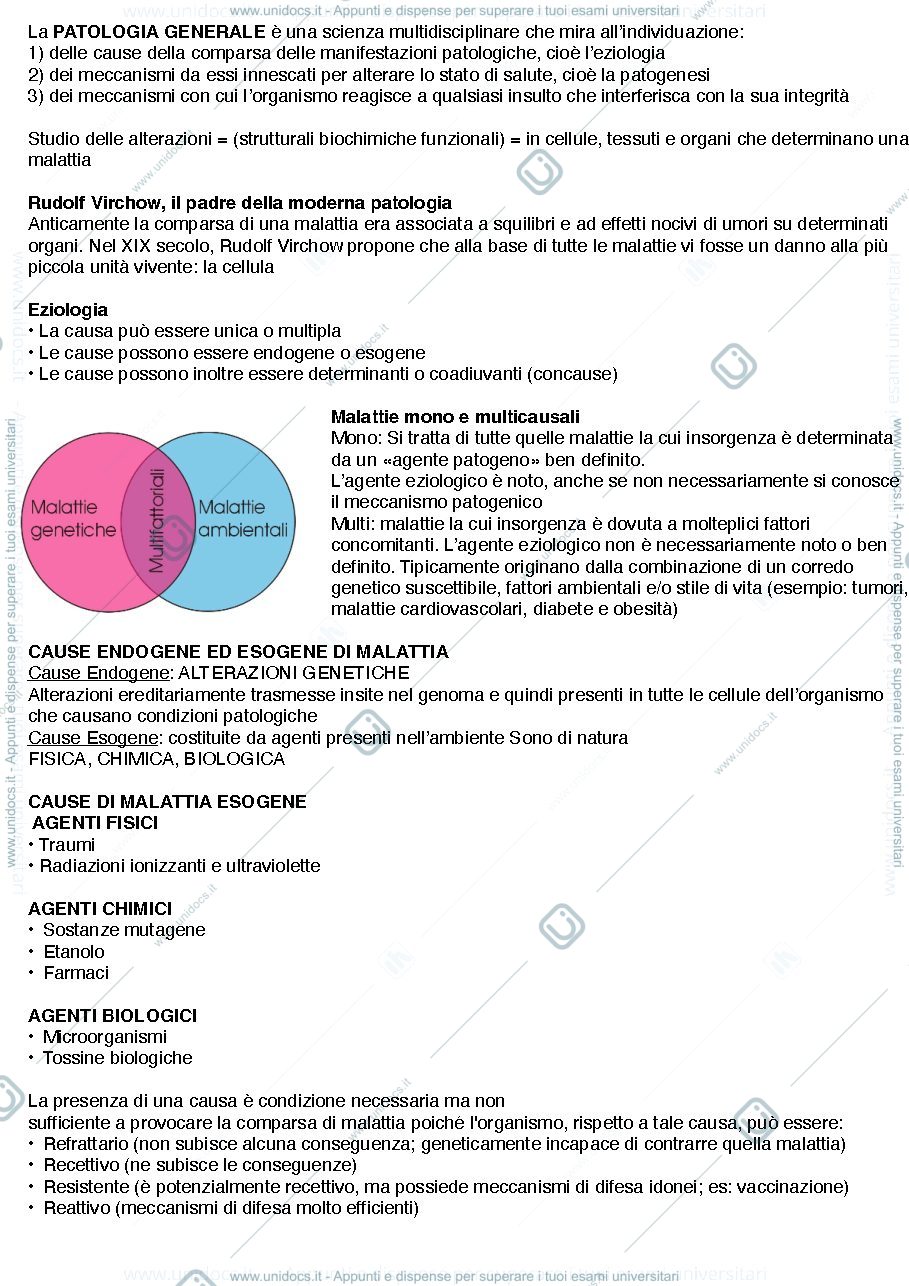 Anteprima pagina 1 — PATO APPUNTI LEZIONE 1