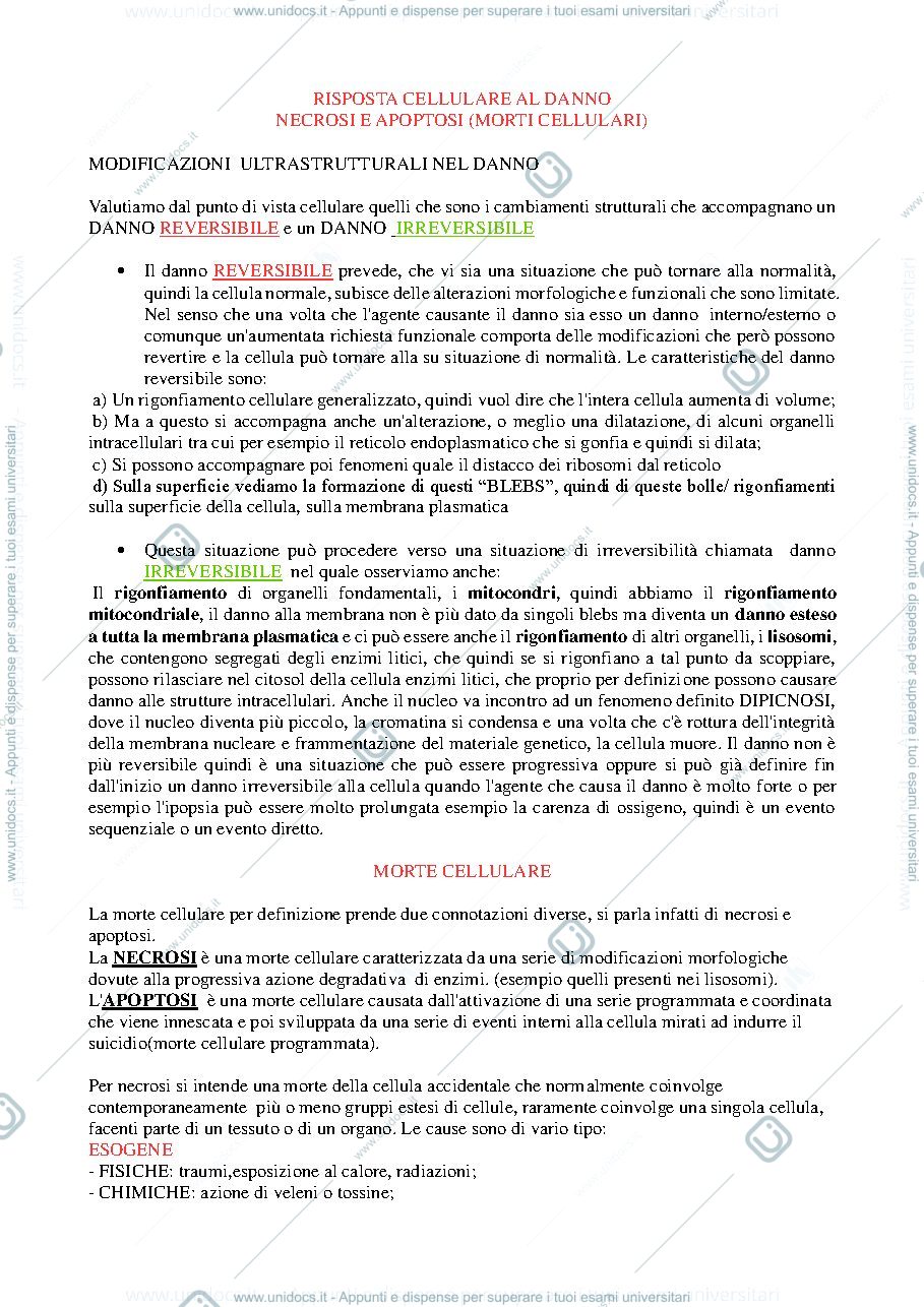 Anteprima pagina 1 — Riassunto patologia