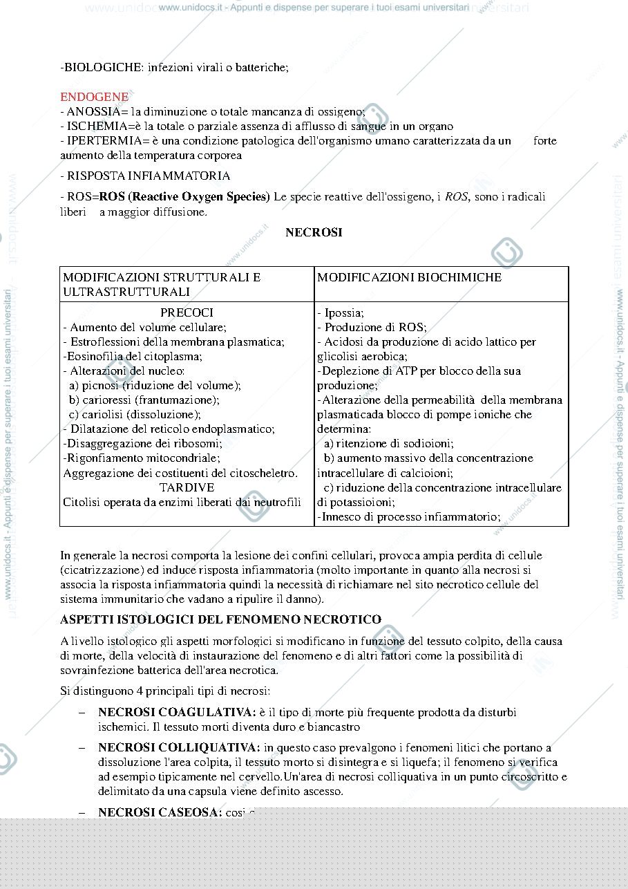 Anteprima pagina 2 — Riassunto patologia