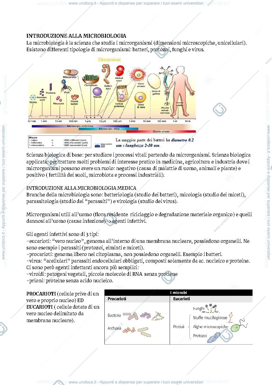 Anteprima pagina 1 — MICROBIOLOGIA