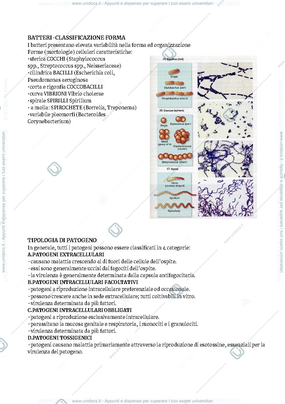 Anteprima pagina 2 — MICROBIOLOGIA