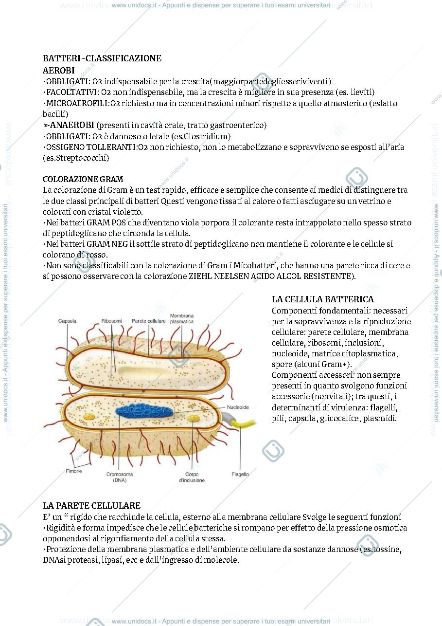 Anteprima pagina 3 — MICROBIOLOGIA