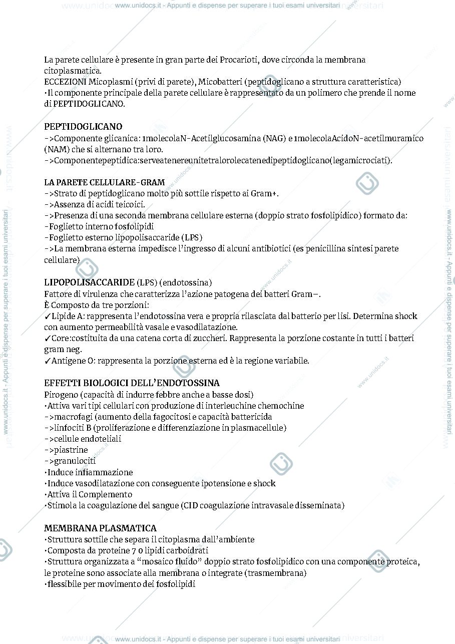 Anteprima pagina 4 — MICROBIOLOGIA