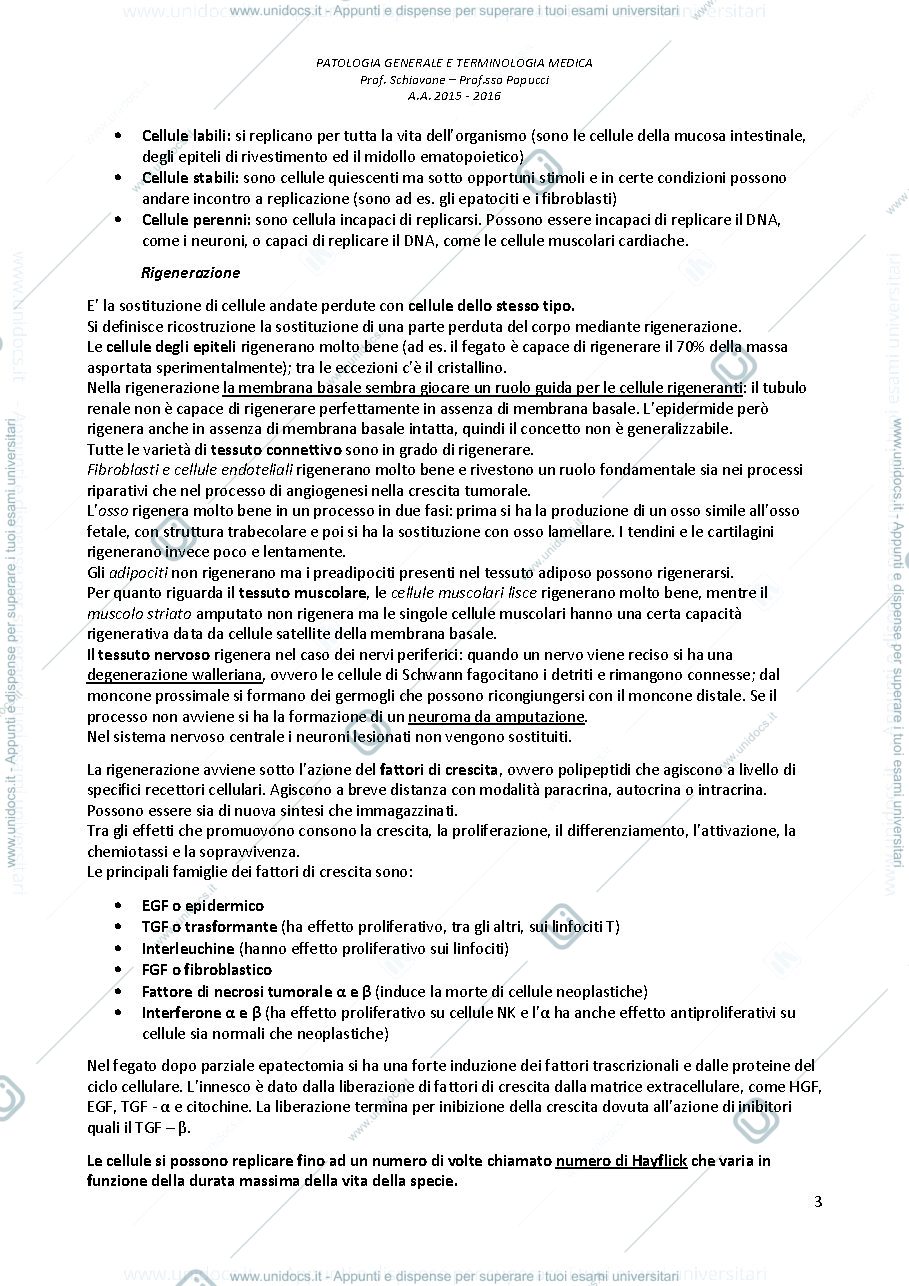 Anteprima pagina 3 — Patologia